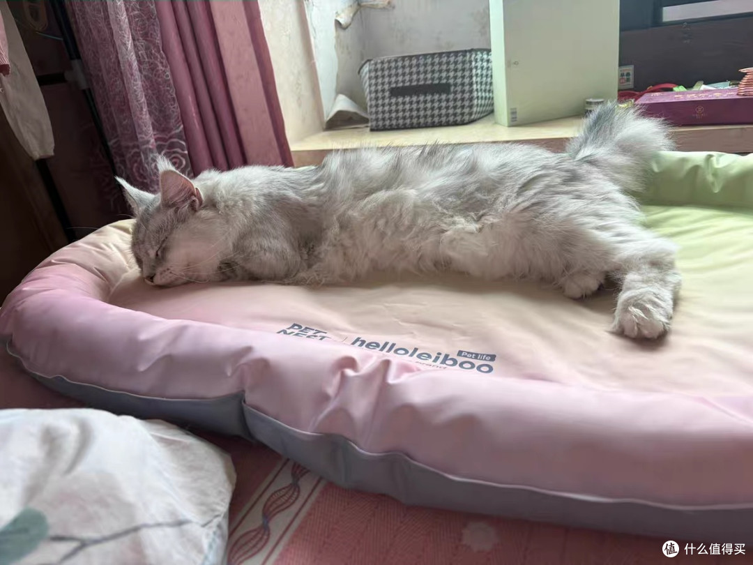 宠物凉垫：凝胶自降温设计