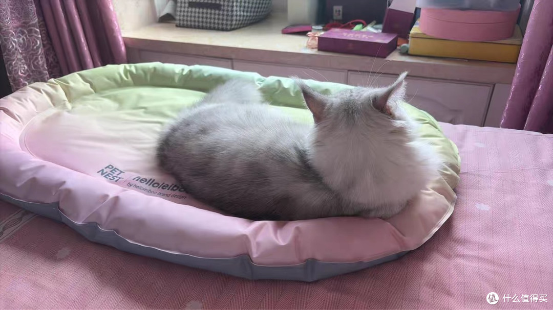 宠物凉垫：凝胶自降温设计