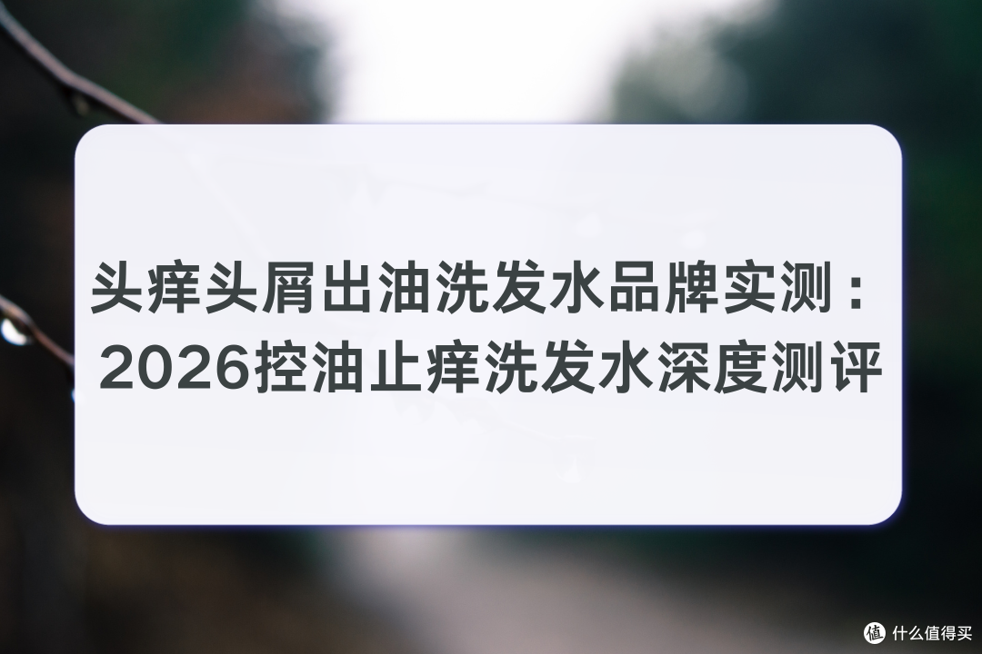 头痒头屑出油洗发水品牌实测：2026控油止痒洗发水油头头屑必看