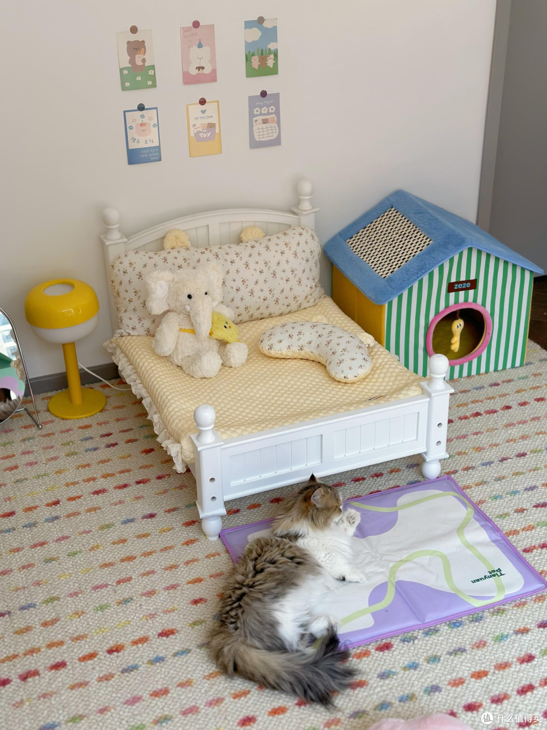 精细化养猫：专属餐具、玩具与作息
