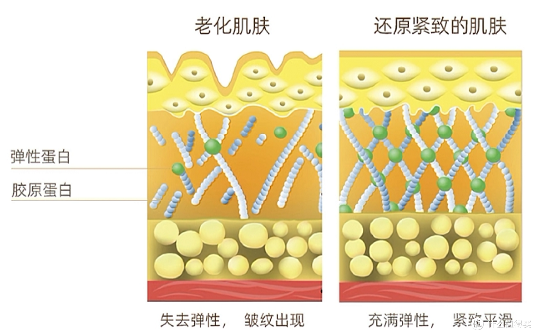 抗老黄金期：别问年龄，问就是现在！