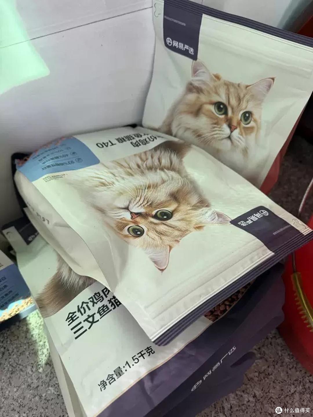 宠物喂食机助力猫咪精致生活