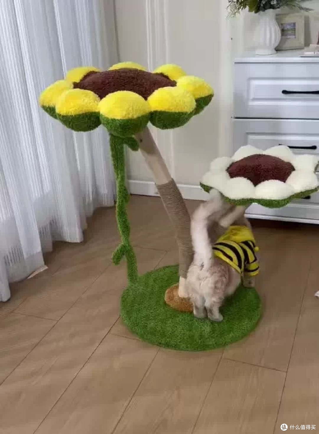 小户型养猫神器:果木实木花朵猫爬架