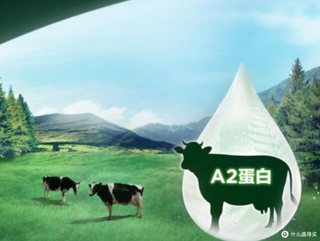 想提升免疫力和抵抗力的老人适合喝的奶粉推荐 :三款a2中老年奶