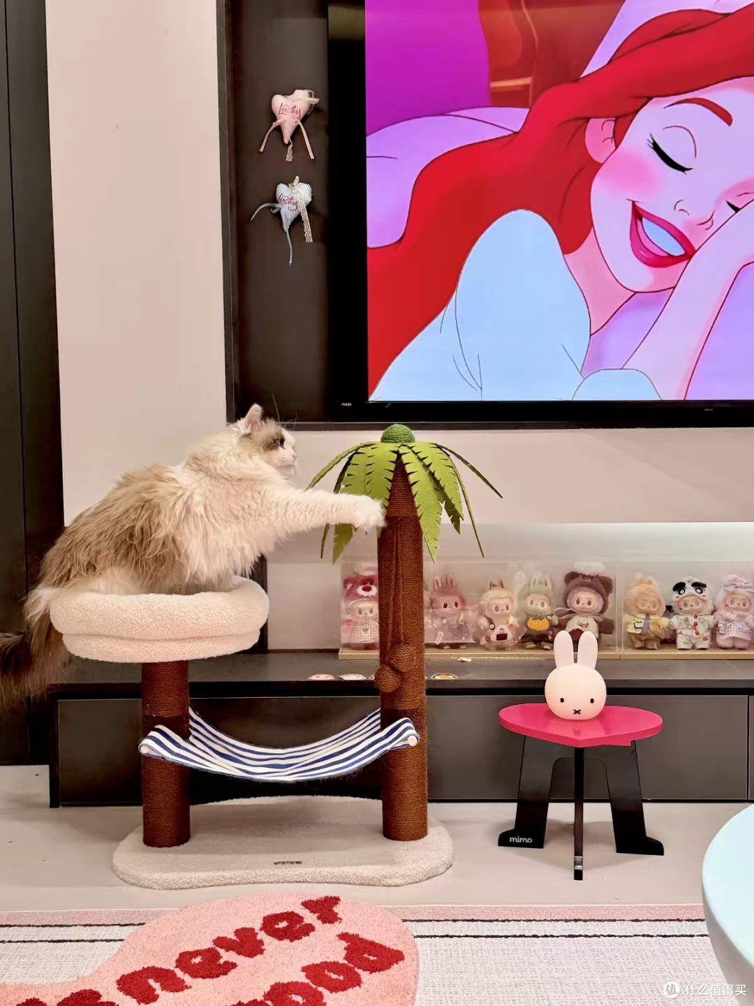 小户型养猫神器：zeze椰树猫爬架
