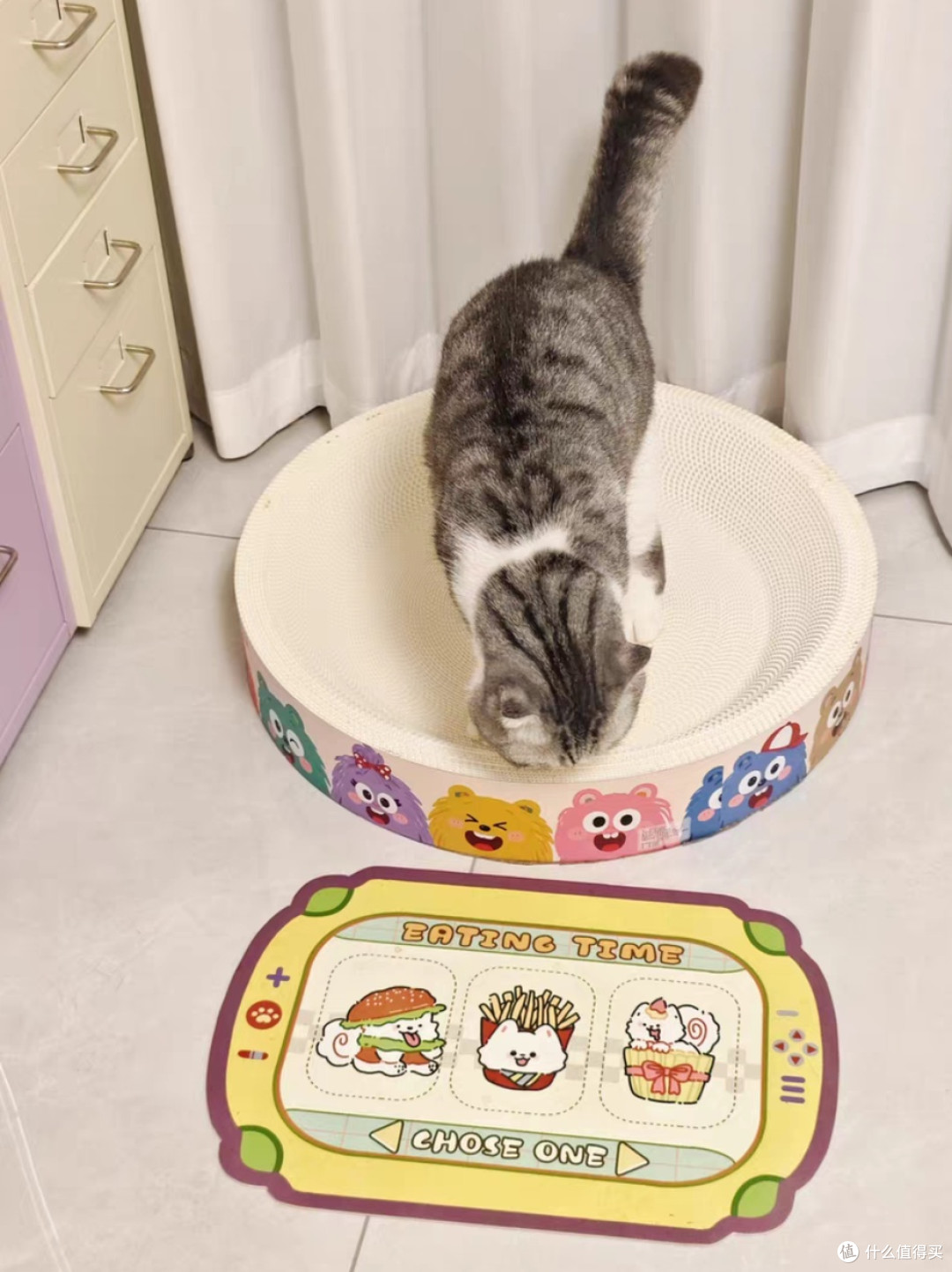猫咪生活哲学：实用好物精选