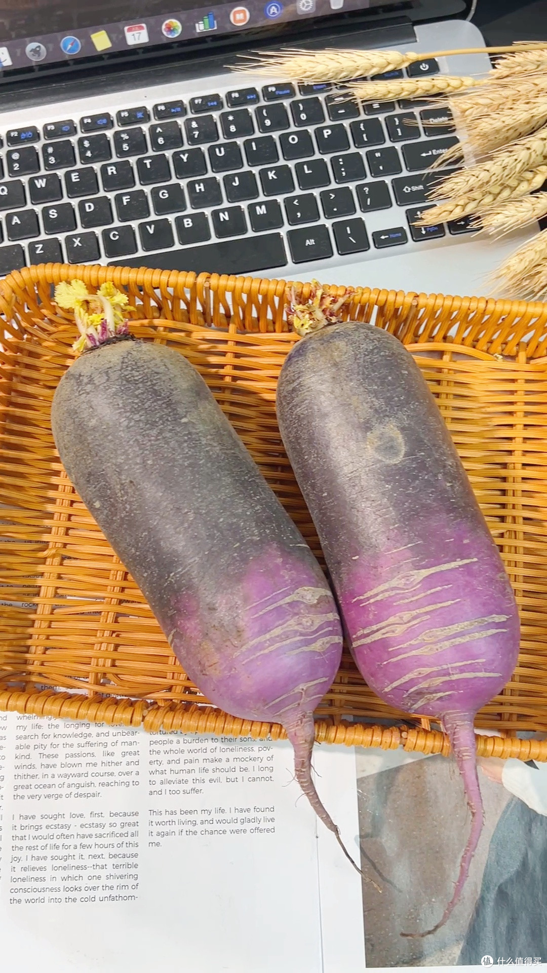 秋冬神仙水果萝卜!潍坊冰淇淋糖心萝卜巨好吃