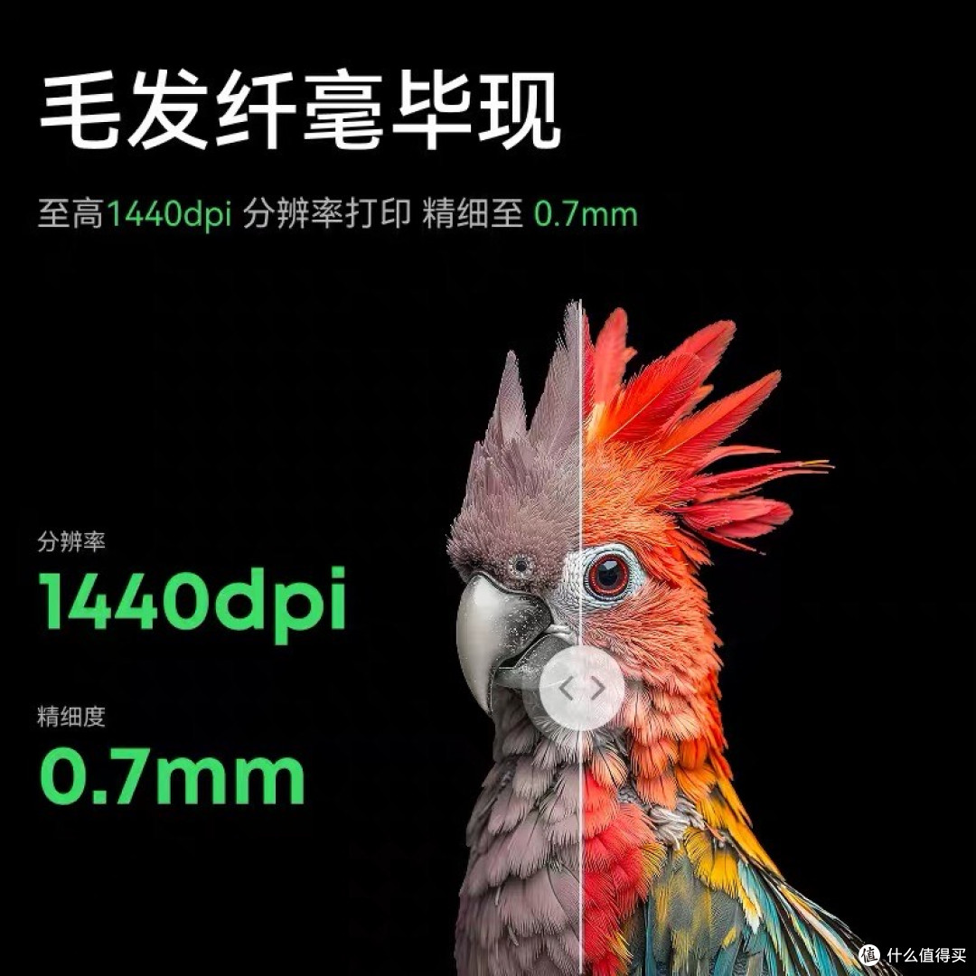 从虚拟到现实:我的3D造梦之旅
