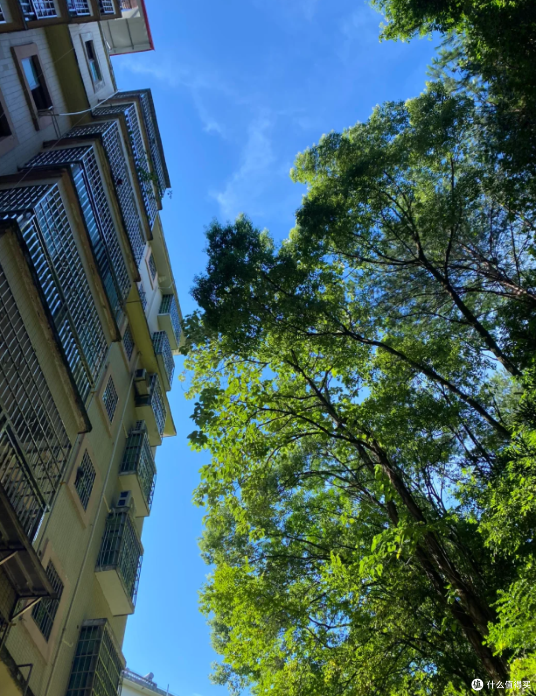 第二次买房,我坚持选了步梯房!入住后发现:和电梯房差别太大了