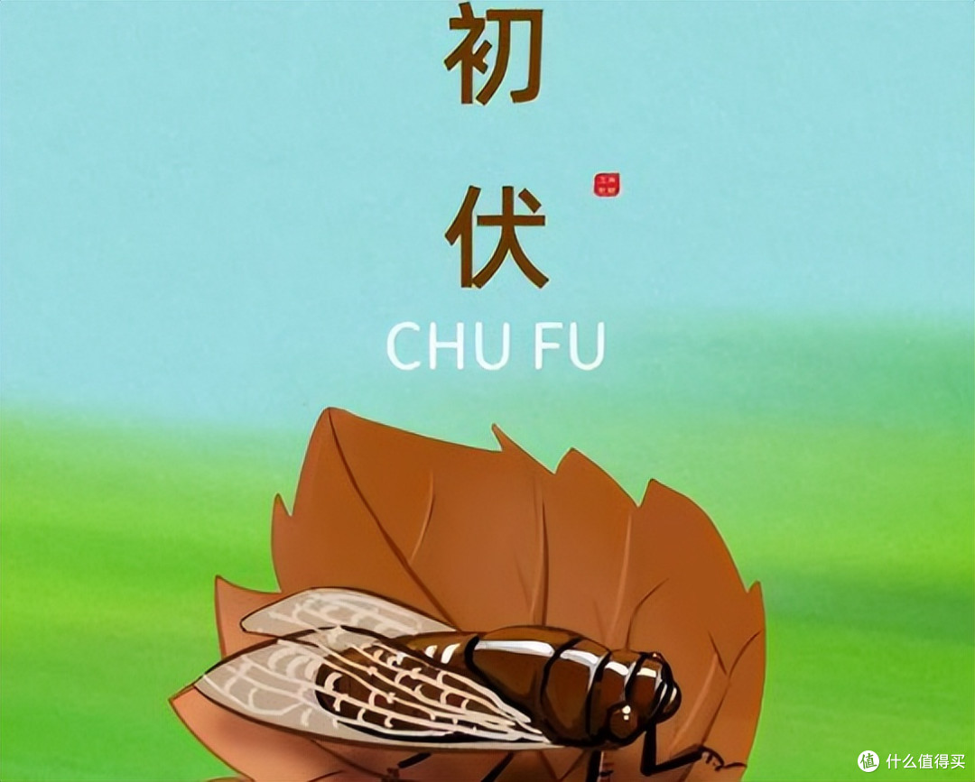 2026年三伏天时间表出炉,今年三伏热不热?多长时间?哪天入伏?