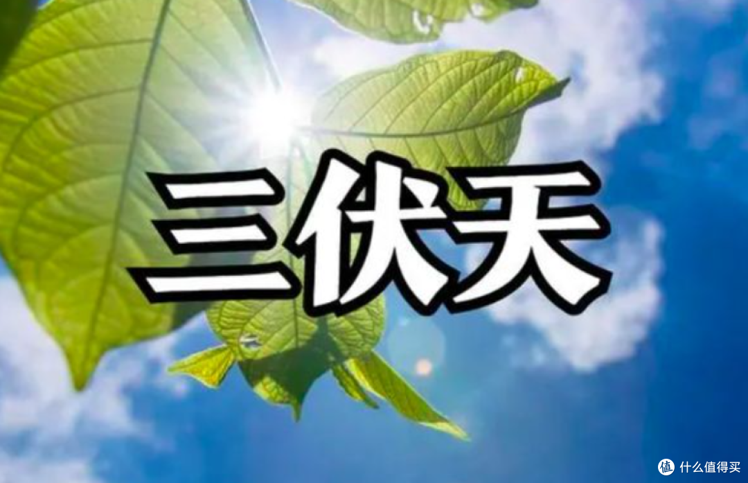 2026年三伏天时间表出炉,今年三伏热不热?多长时间?哪天入伏?