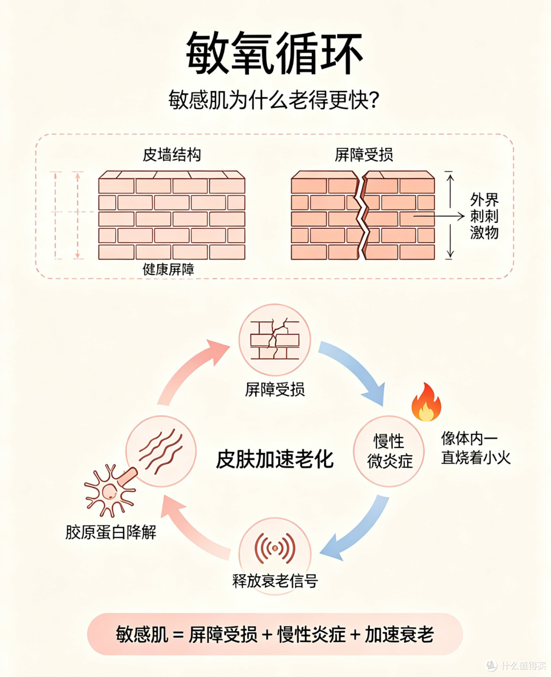别让敏感拦住你的抗老路！这3招选对面霜，泛红肌也能淡纹紧致