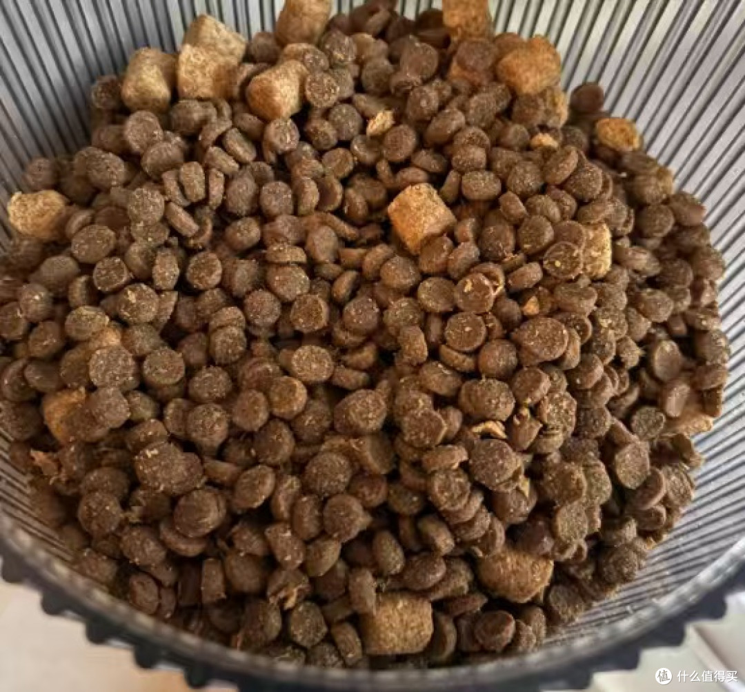 终结挑食与软便:百利猫粮的喂养革命