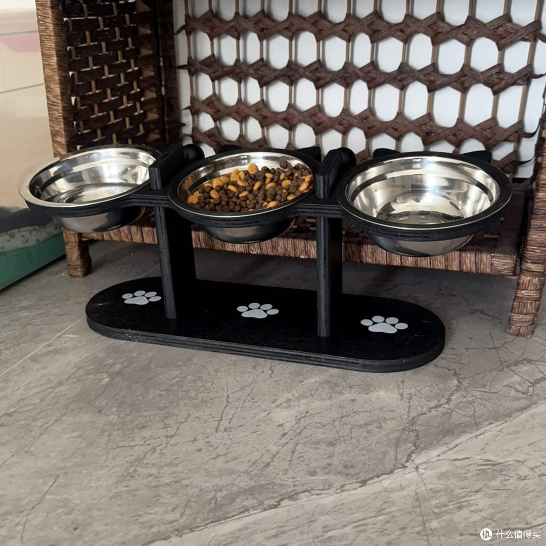 猫咪专属餐具|别再瞎喂!你家猫的黑下巴全是碗的锅