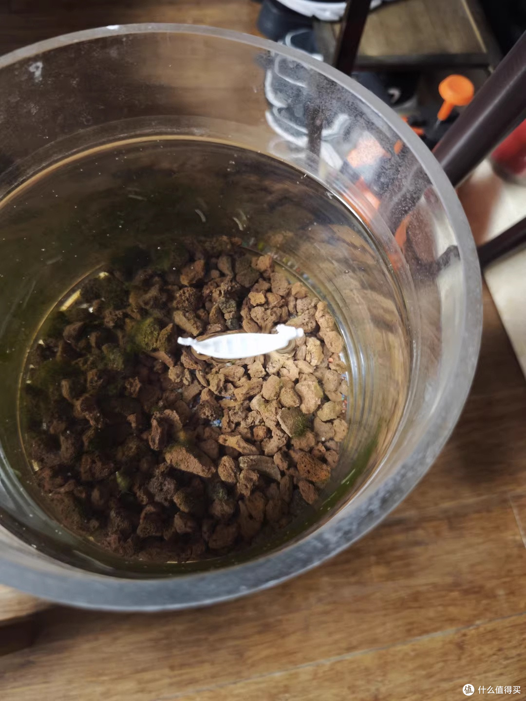 拓竹A1新手入门一月：零调参也能打出像样的第一个模型