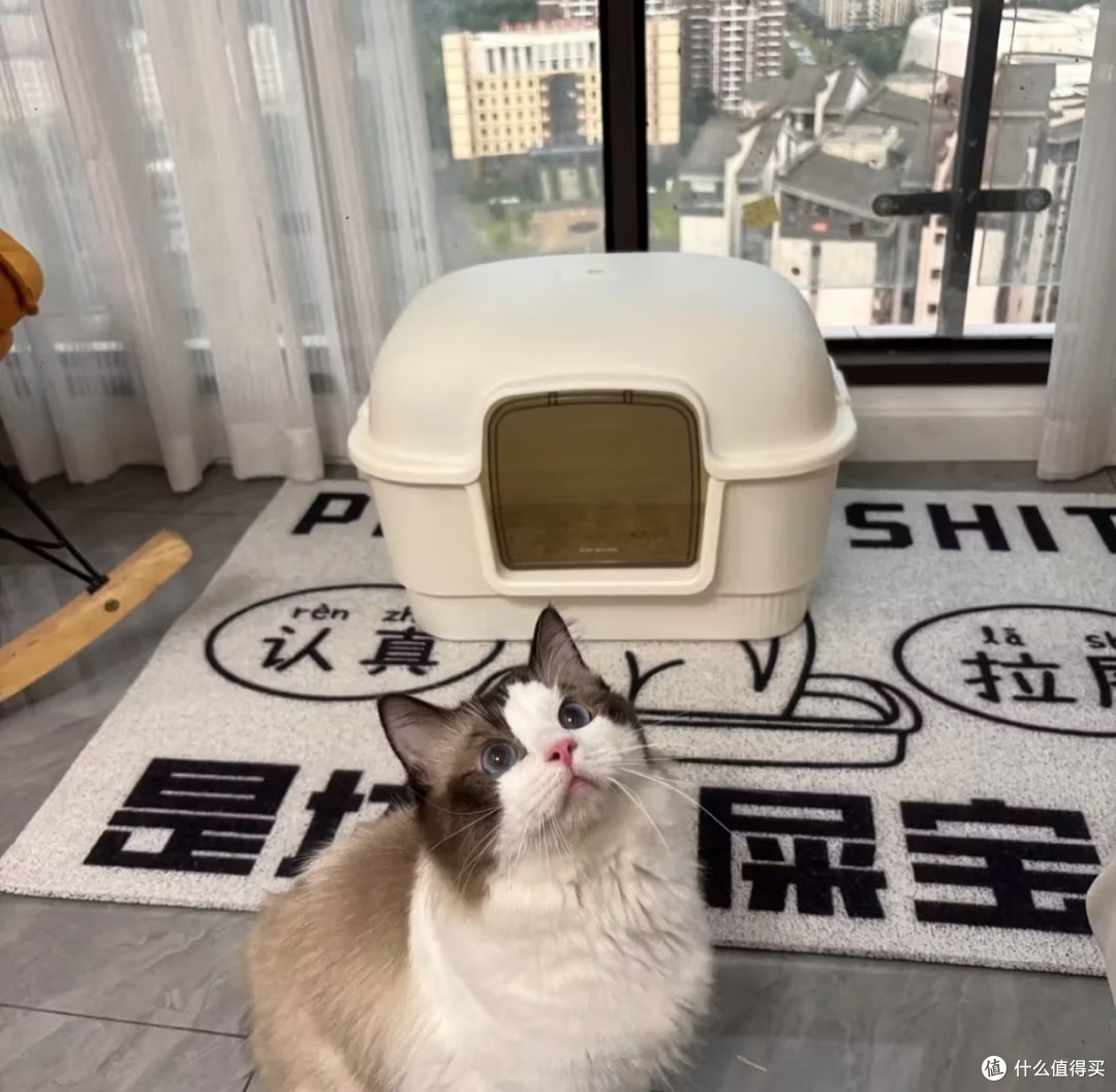 真不愧是猫咪定点上厕所神器,告别满屋尿味,再也不用天天擦地