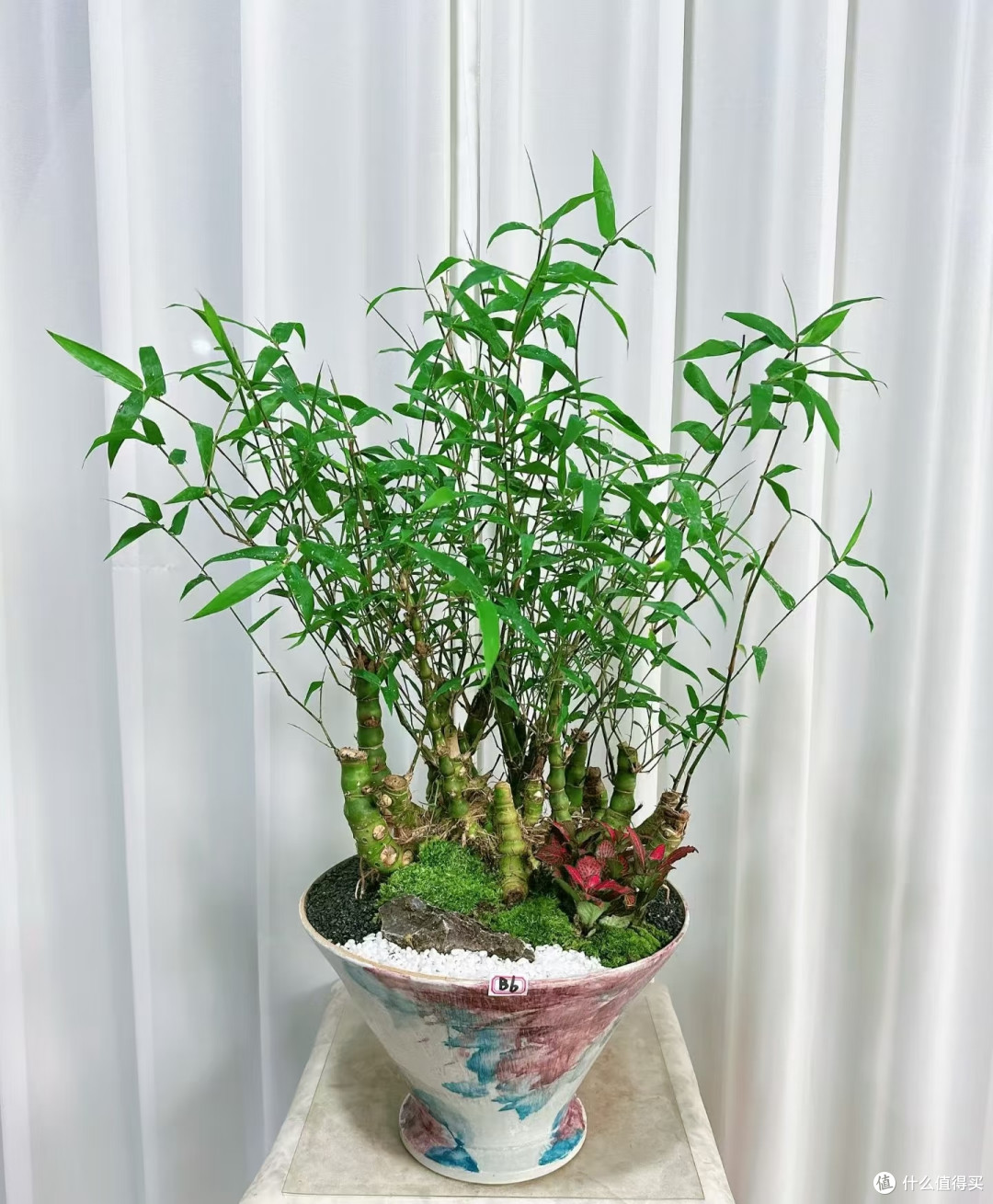 “家见三种树,不贵也有福”,老祖先的话要信,是智慧不是迷信!