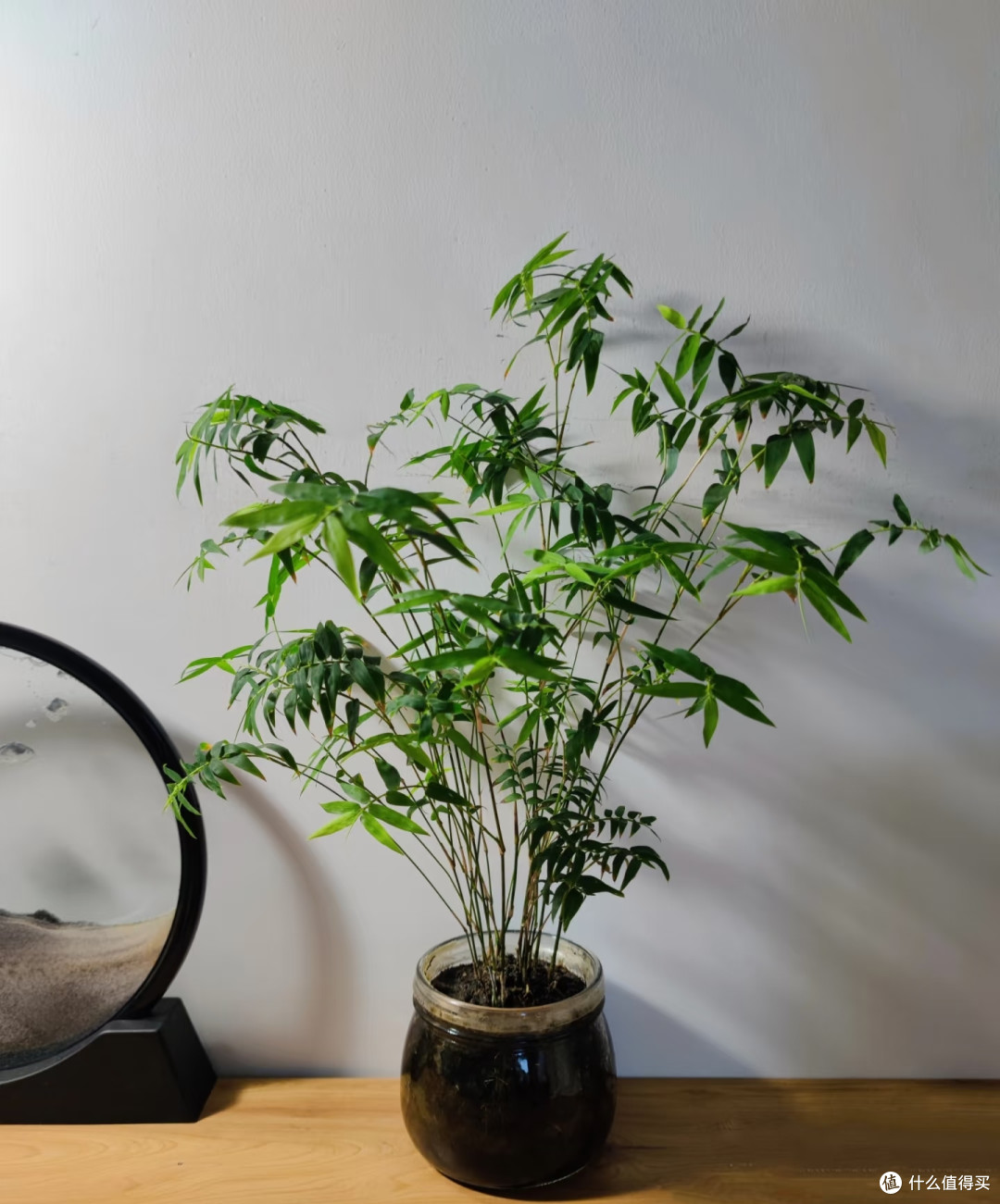 “家见三种树,不贵也有福”,老祖先的话要信,是智慧不是迷信!
