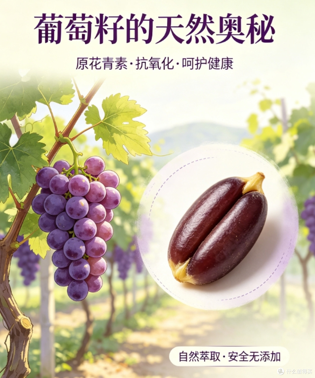 葡萄籽提取物哪个品牌好？2026实测配方，由内焕亮肌肤状态