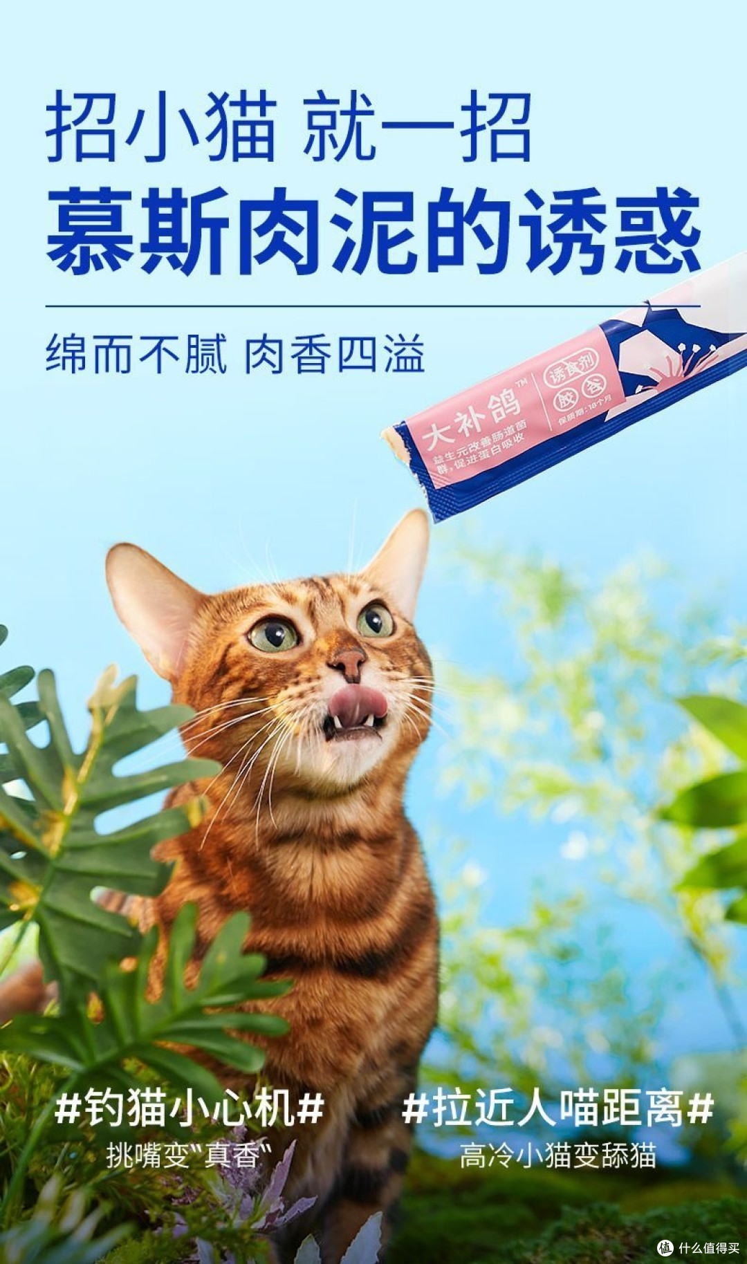家里有挑食怪?这根猫条让我从“求着喂”变成“被追着跑”