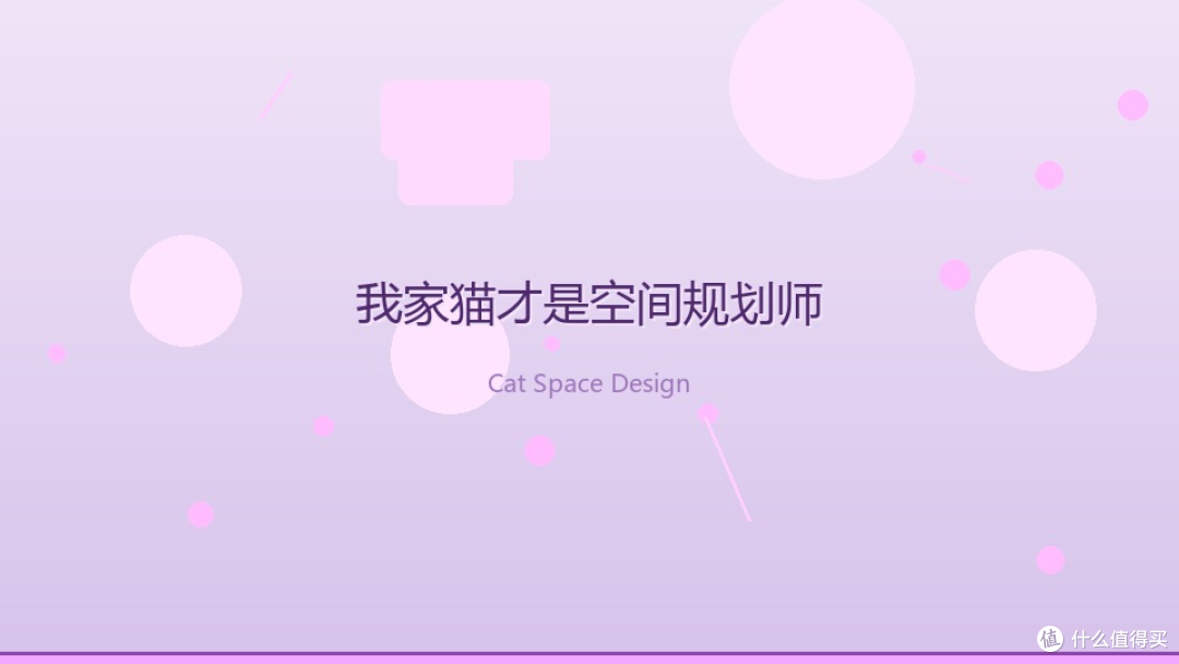 我家猫才是空间规划师:猫生活的哲学
