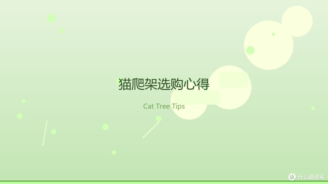 我家猫才是空间规划师:猫生活的哲学