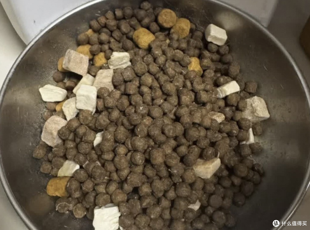 我家猫真的很会生活,连选粮都自带“美食家”眼光。