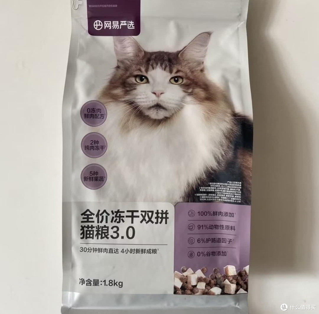 我家猫真的很会生活，连选粮都自带“美食家”眼光。