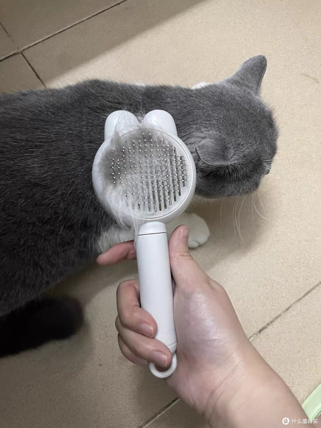 比亿奇换毛季梳毛神器效果显著
