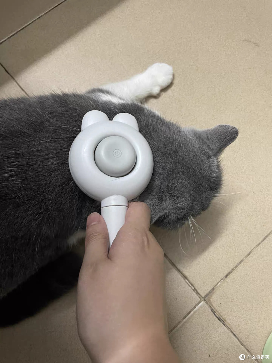比亿奇换毛季梳毛神器效果显著