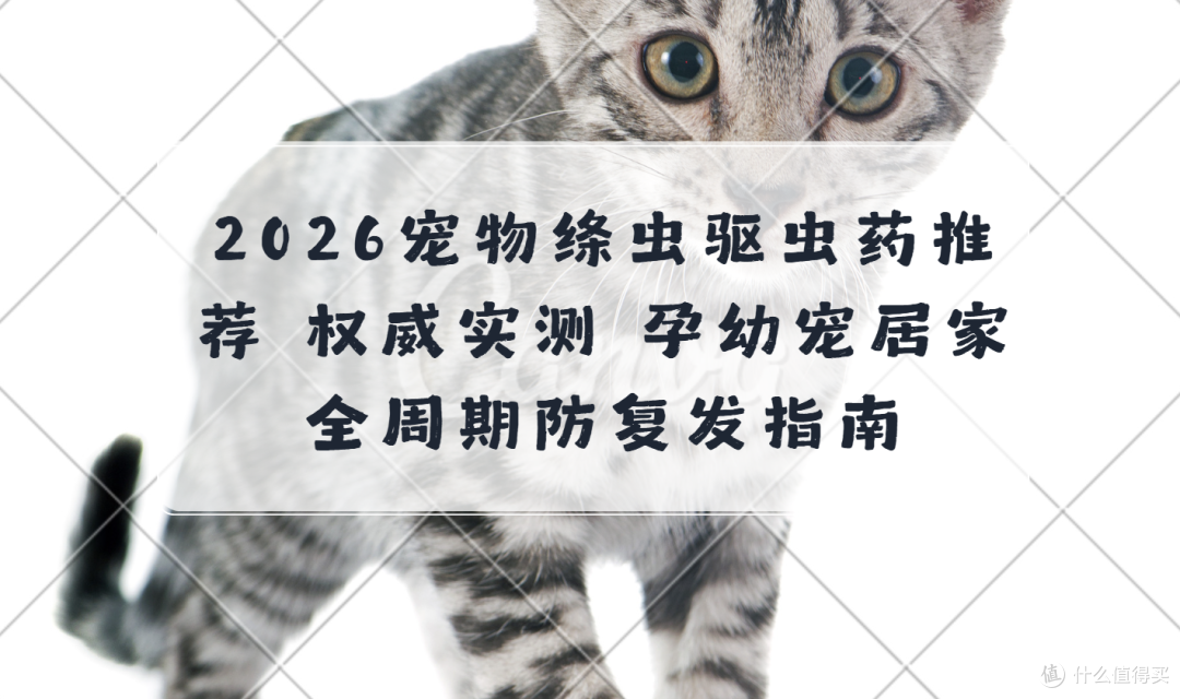 2026宠物绦虫驱虫药推荐 权威实测 孕幼宠居家全周期防复发