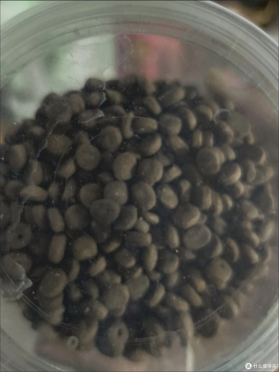 618囤猫粮，麦富迪鲜肉天然猫粮猫咪食用体验
