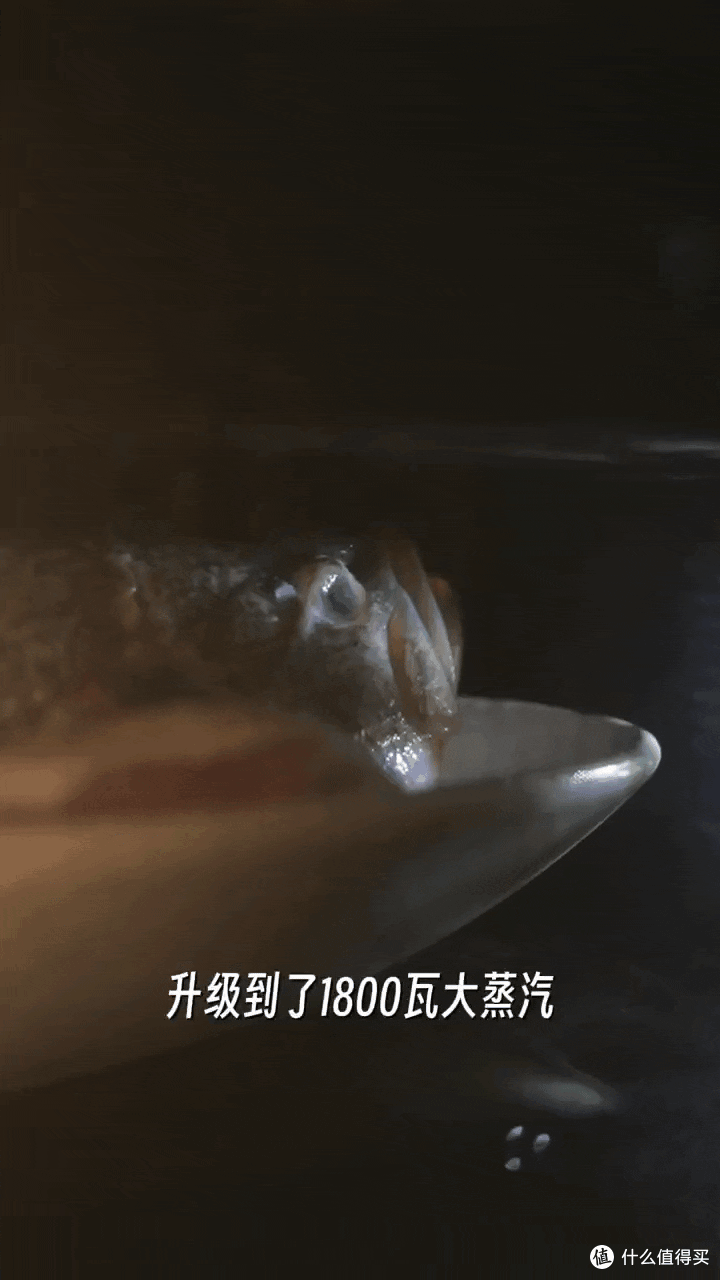 2026台式微蒸烤一体机怎么选？一文看懂松下、美的、东芝如何选购
