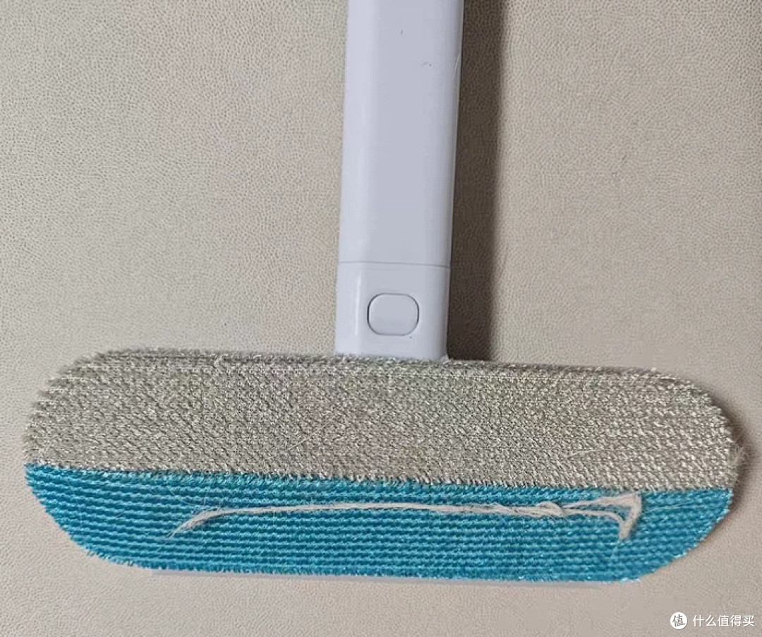养猫家庭必备!轻松搞定无处不在的猫毛