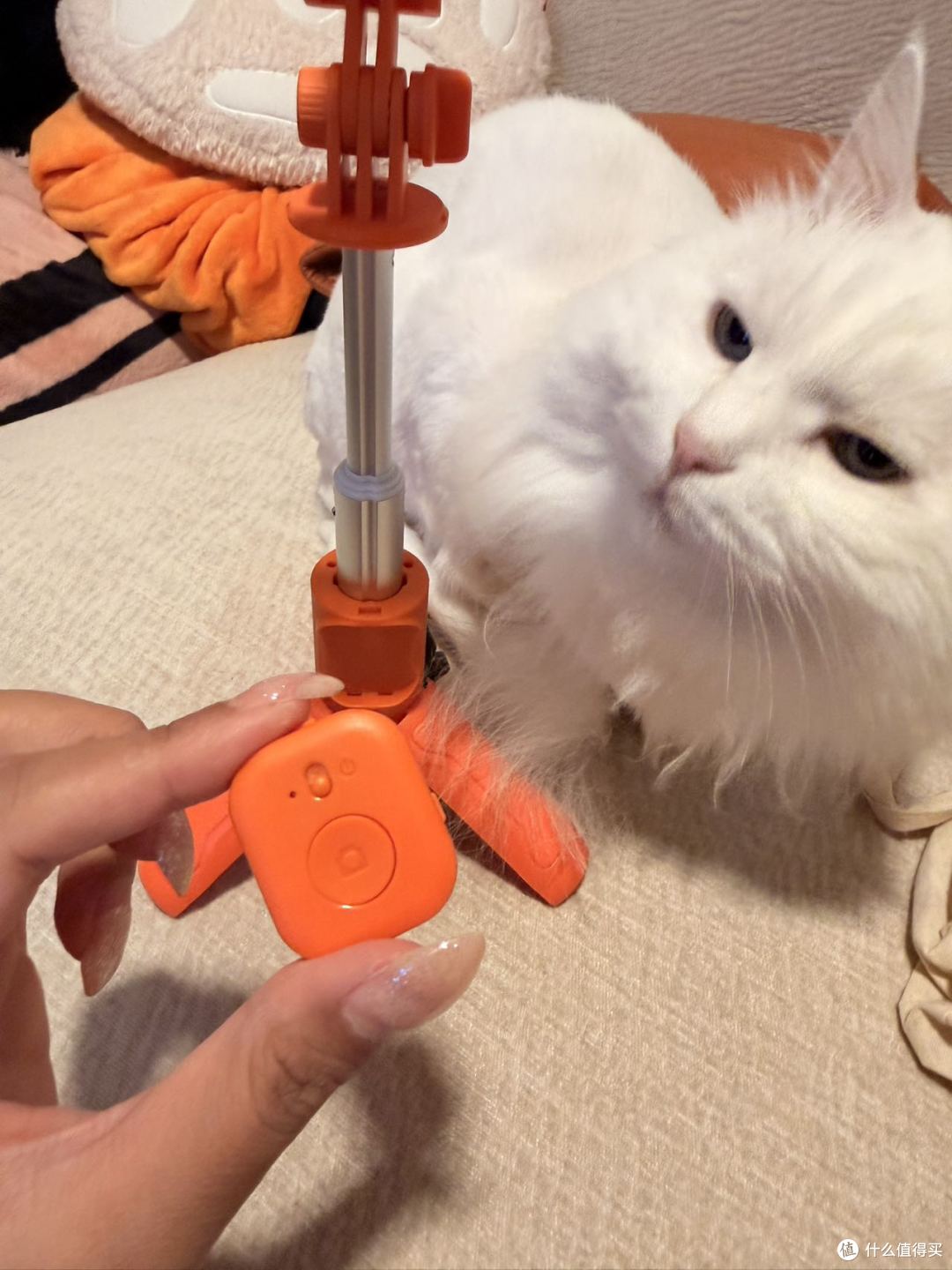 遛宠拍照痛点一键解决!靓点拍多巴胺掌心杆实测体验