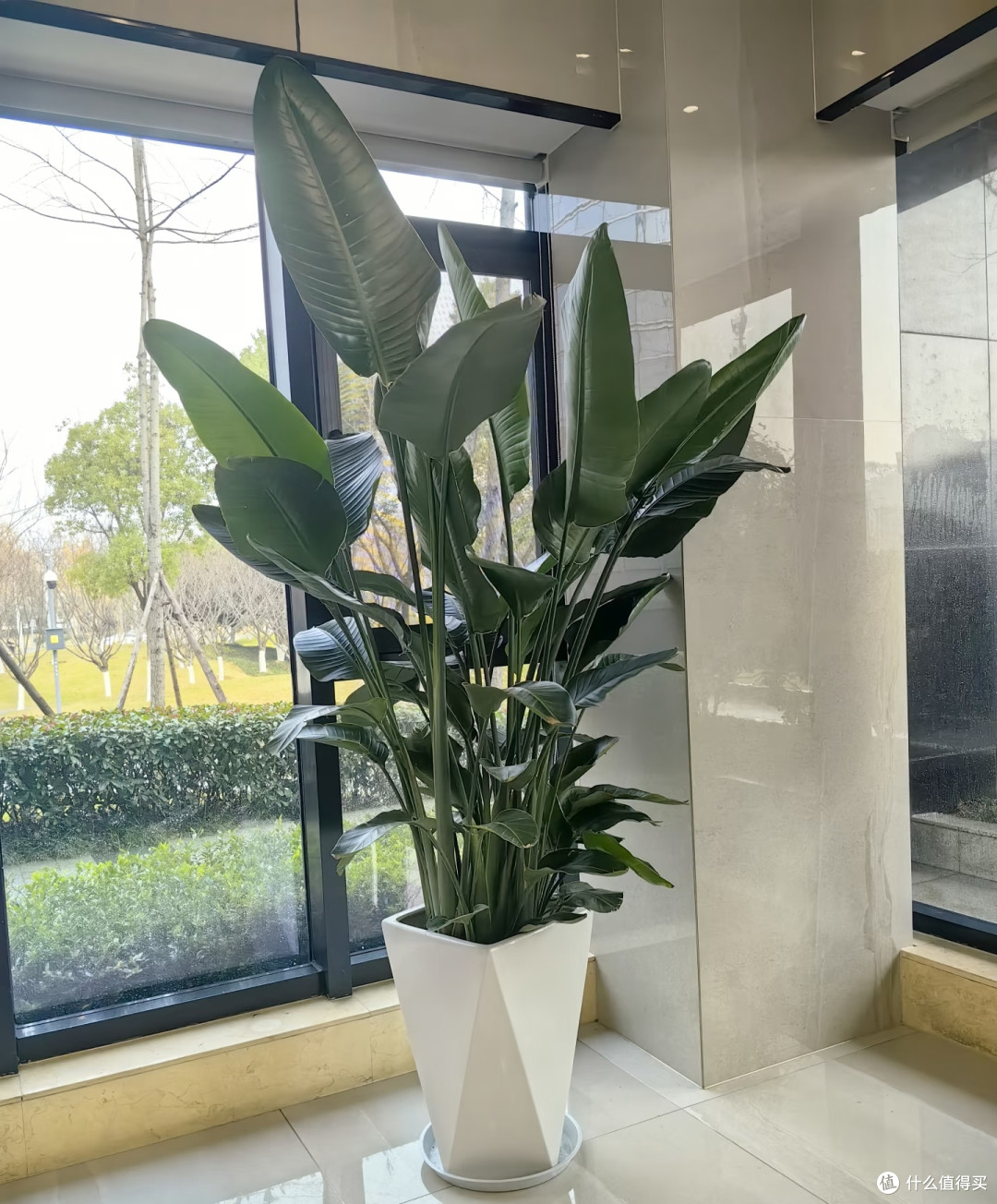 如果你家里养这10种花,7月记得“多浇水”,水少容易要“小命”