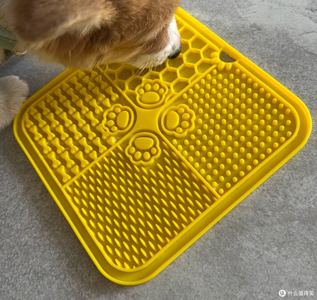 养猫必备!硅胶餐垫解决脏乱难题