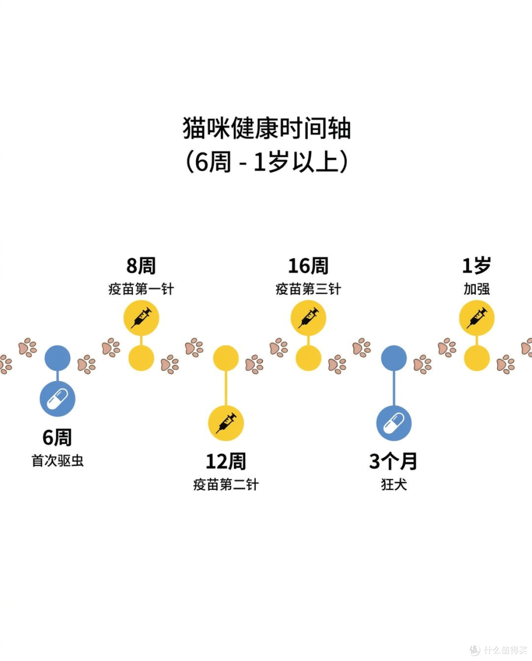 新手必看!猫咪疫苗和驱虫时间表攻略通