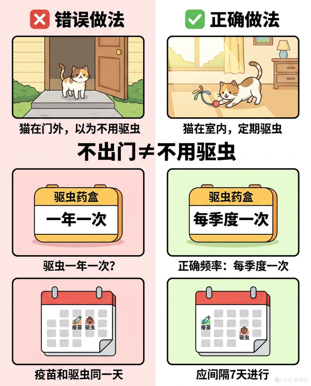 新手必看!猫咪疫苗和驱虫时间表攻略通