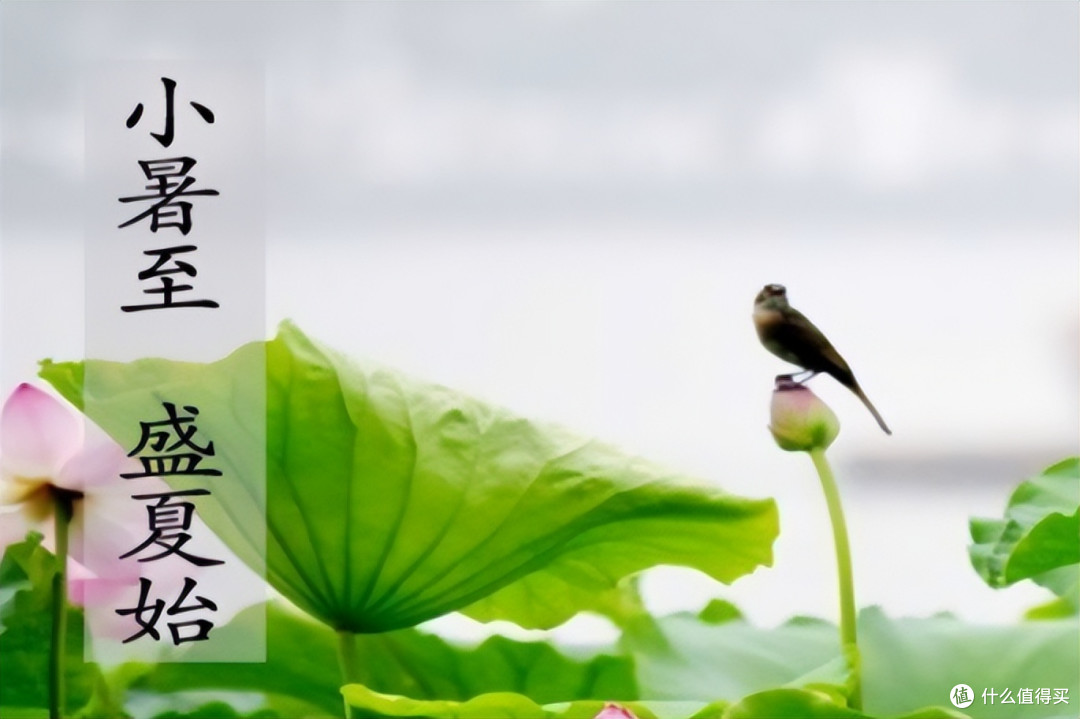小暑时节天气热，建议吃4样，做3事，禁2食，忌1事，安康过夏天！