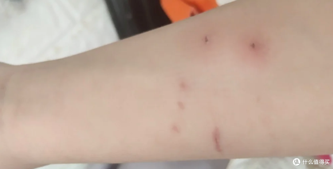 你觉得好玩,猫咪却觉得是骚扰行为大汇总