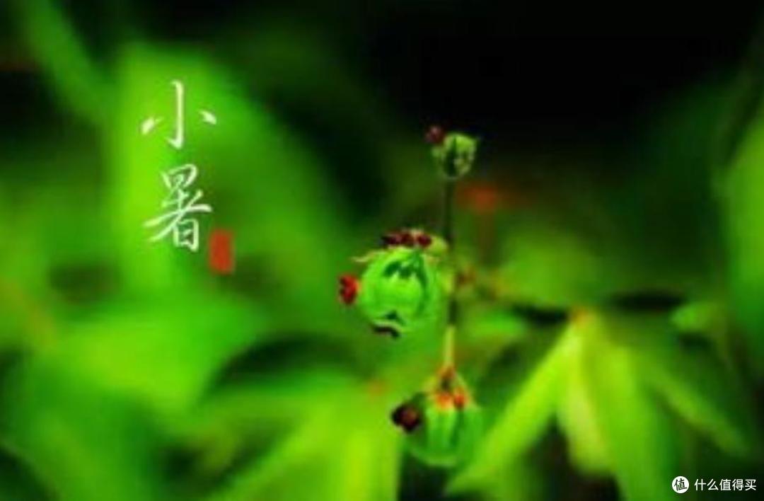 小暑将至,把这些食材熬成6道消暑汤,天热定要记得吃,非常合适