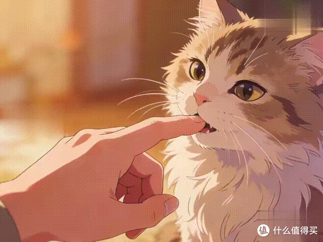 “布偶猫”养不熟的6个表现,中一个就要当心了