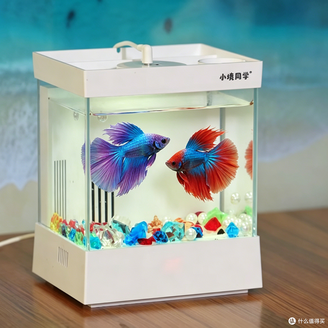 文章插图
