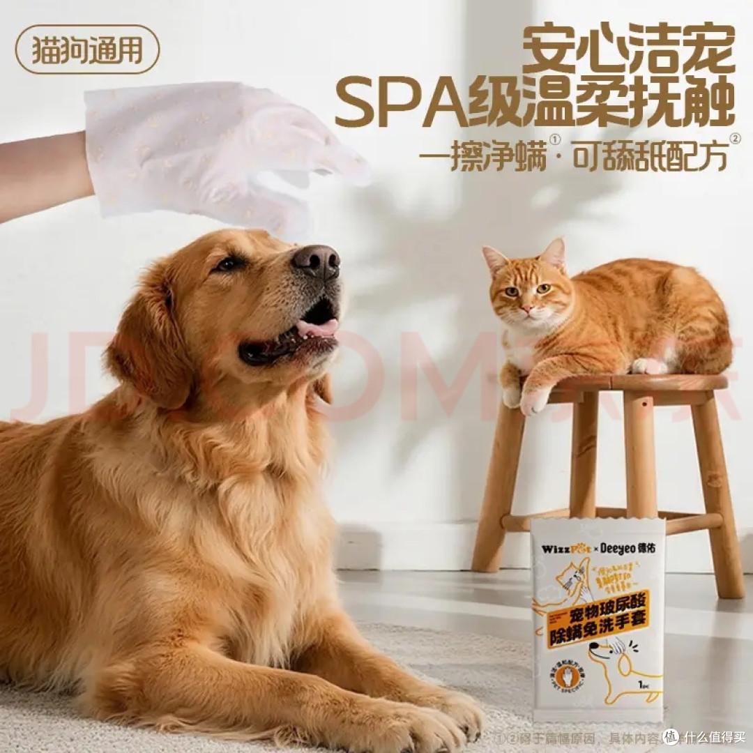 #萌宠快乐一夏#夏日养宠好物|德佑宠物清洁手套解决夏季清洁难题