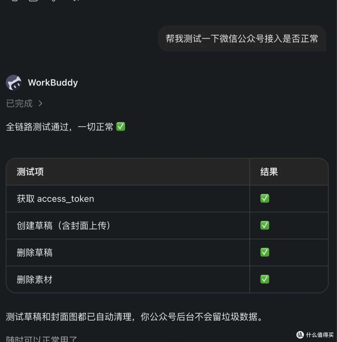 WorkBuddy 测试接入通过的截图