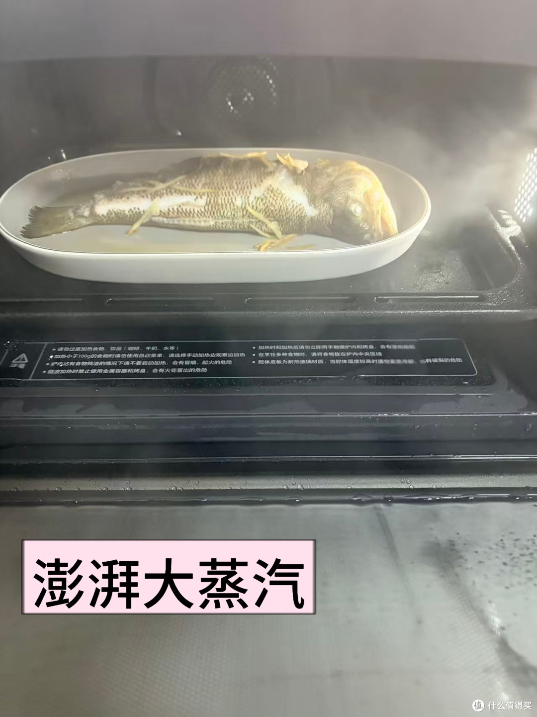 带娃做饭两不误|东芝微蒸烤机测评,省时、健康、易清洁才是刚需