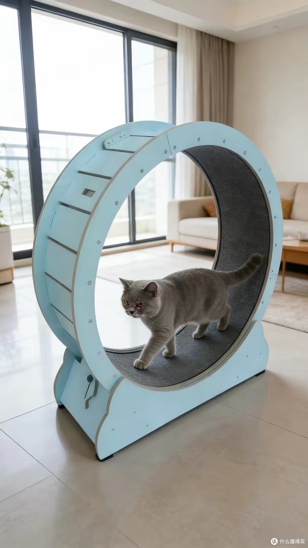 实木猫咪跑步机：解决宅家运动不足
