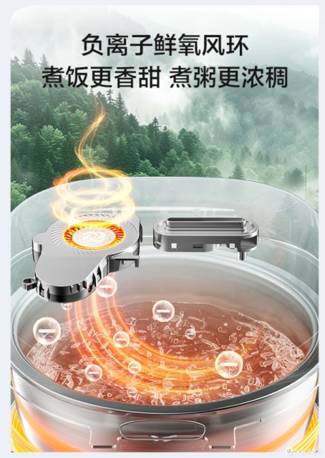 2026家用电饭煲选购指南：0涂层已成刚需

