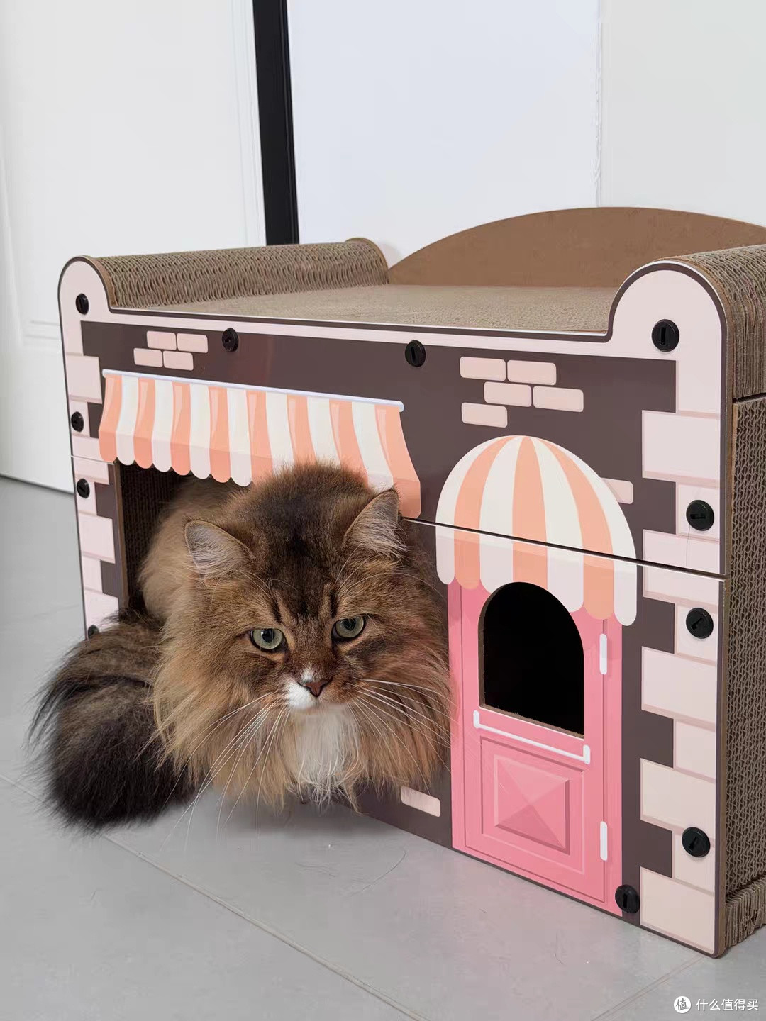 告别沙发受难！pupp猫窝猫抓板，给猫咪专属温馨小铺